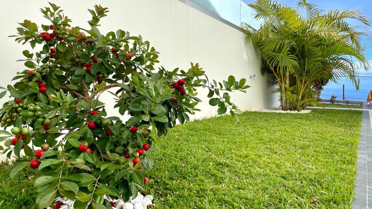 Holiday Apartment Sunset Ocean Ribeira Brava Exterior photo